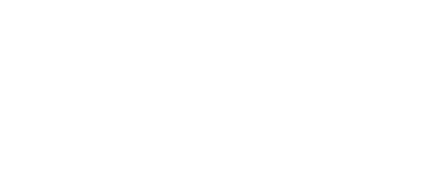 AL FALAH SECURTY