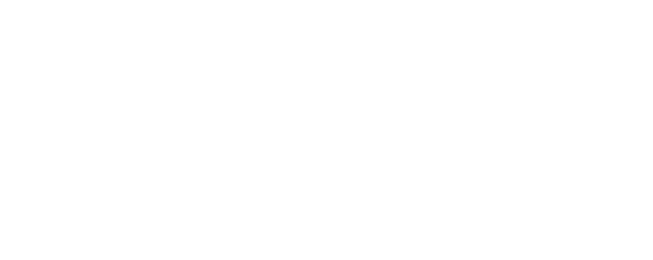 people steel mill ltd